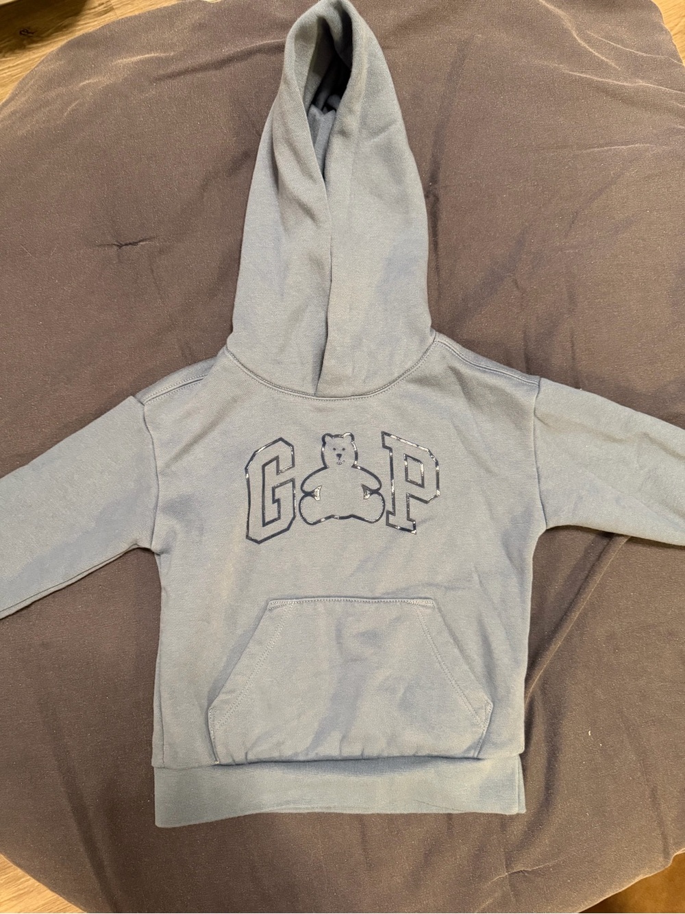 GAP Blue-Gray Kids Hooded Sweatshirt with Bear Graphic